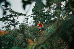 BIB: 
                            <button type="button" onclick="openModal(25258451)" class="btn btn-primary btn-sm float-right btn-popup" data-toggle="modal" data-target=".modal-high-quality">
                        <i class="fas fa-shopping-cart"></i> Add to Cart
                    </button>
                                            <button type="button" onclick="isThisMe(25258451, true)" class="btn btn-success btn-sm float-right btn-popup btn-isme hidden" data-toggle="tooltip" data-placement="bottom" title="นี่คือรูปของคุณใช่ไหม คลิกที่นี่เพื่อเอาเข้าอัลบั้ม">
                        <i class="fas fa-plus"></i> Add to album
                    </button>
                    <button type="button" onclick="isThisMe(25258451, false)" class="btn btn-warning btn-sm float-right btn-popup btn-isnotme hidden">
                        <i class="fas fa-ban"></i> Remove from album
                    </button>